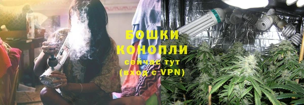 трава Арсеньев
