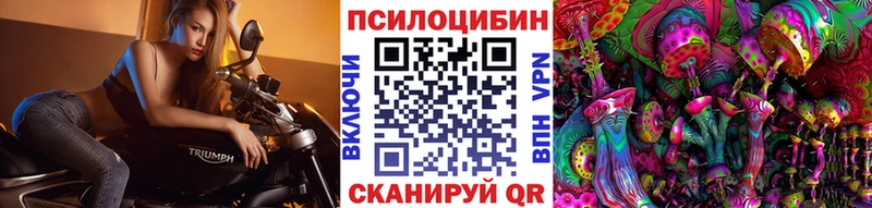 мориарти какой сайт  кракен как зайти  Псилоцибиновые грибы мухоморы  Дорогобуж  где купить наркоту 